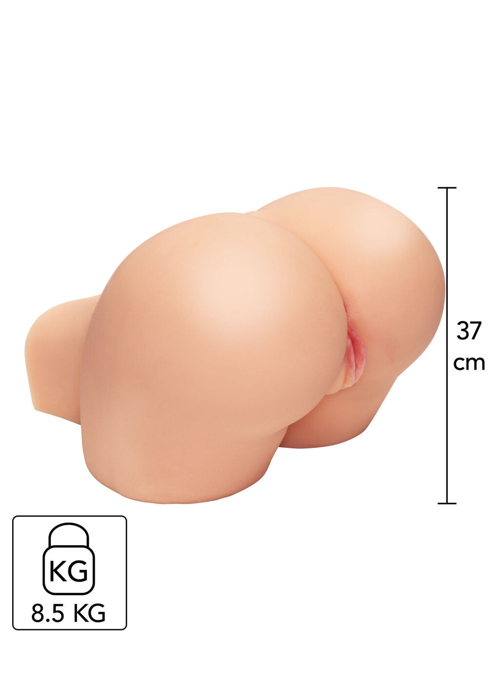 Hidden Desire Bangers Fat Ass Bimbo 8.5kg