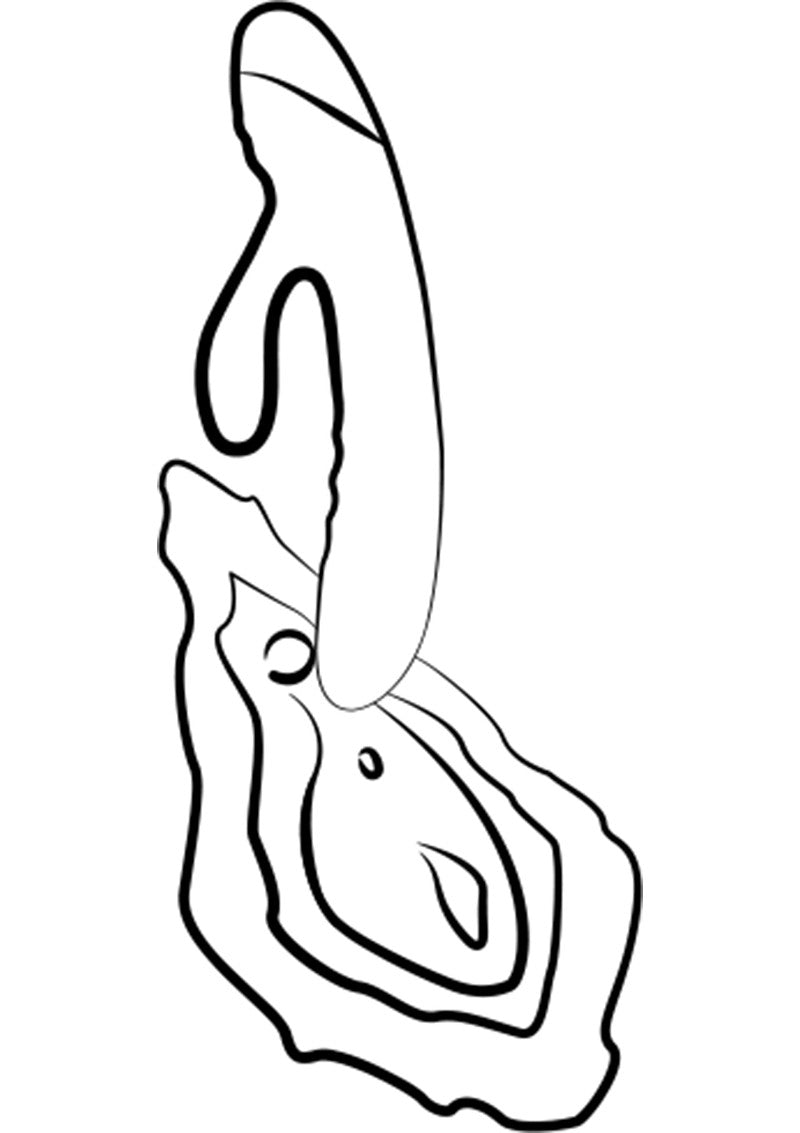 Romp Jazz rabbit vibrator