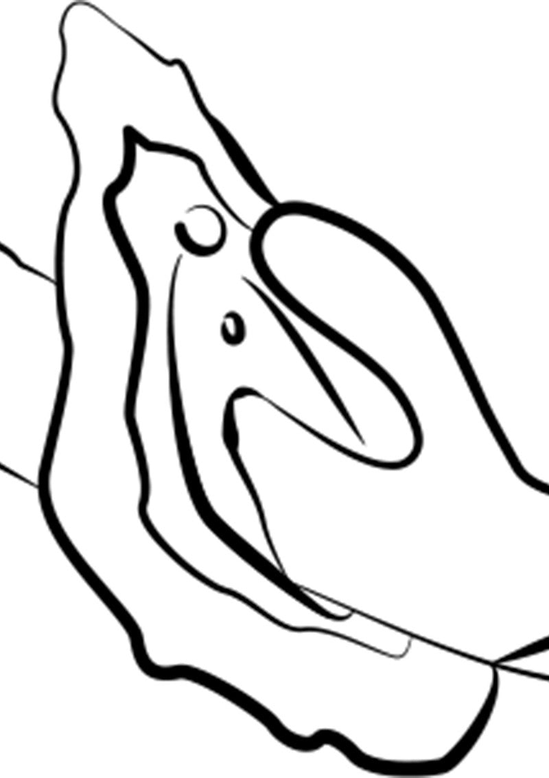 Romp Jazz rabbit vibrator