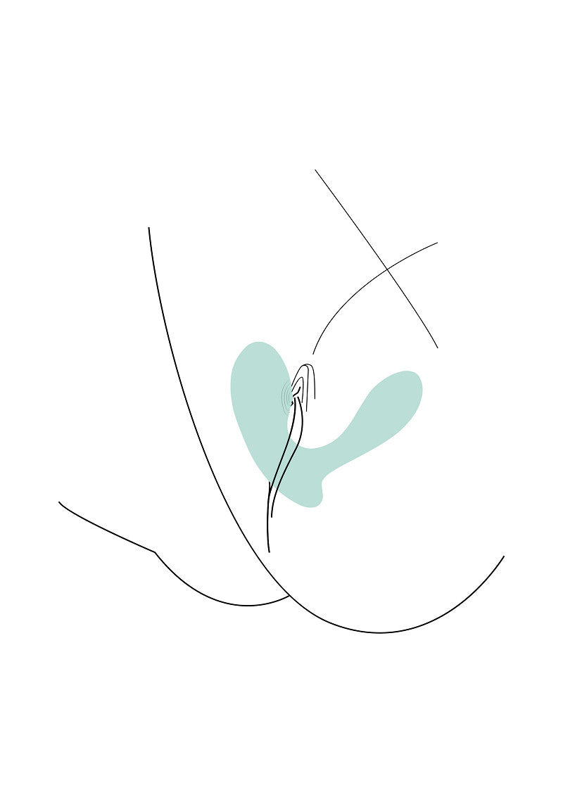 Xocoon DuoVibe II Tapping Vibrator