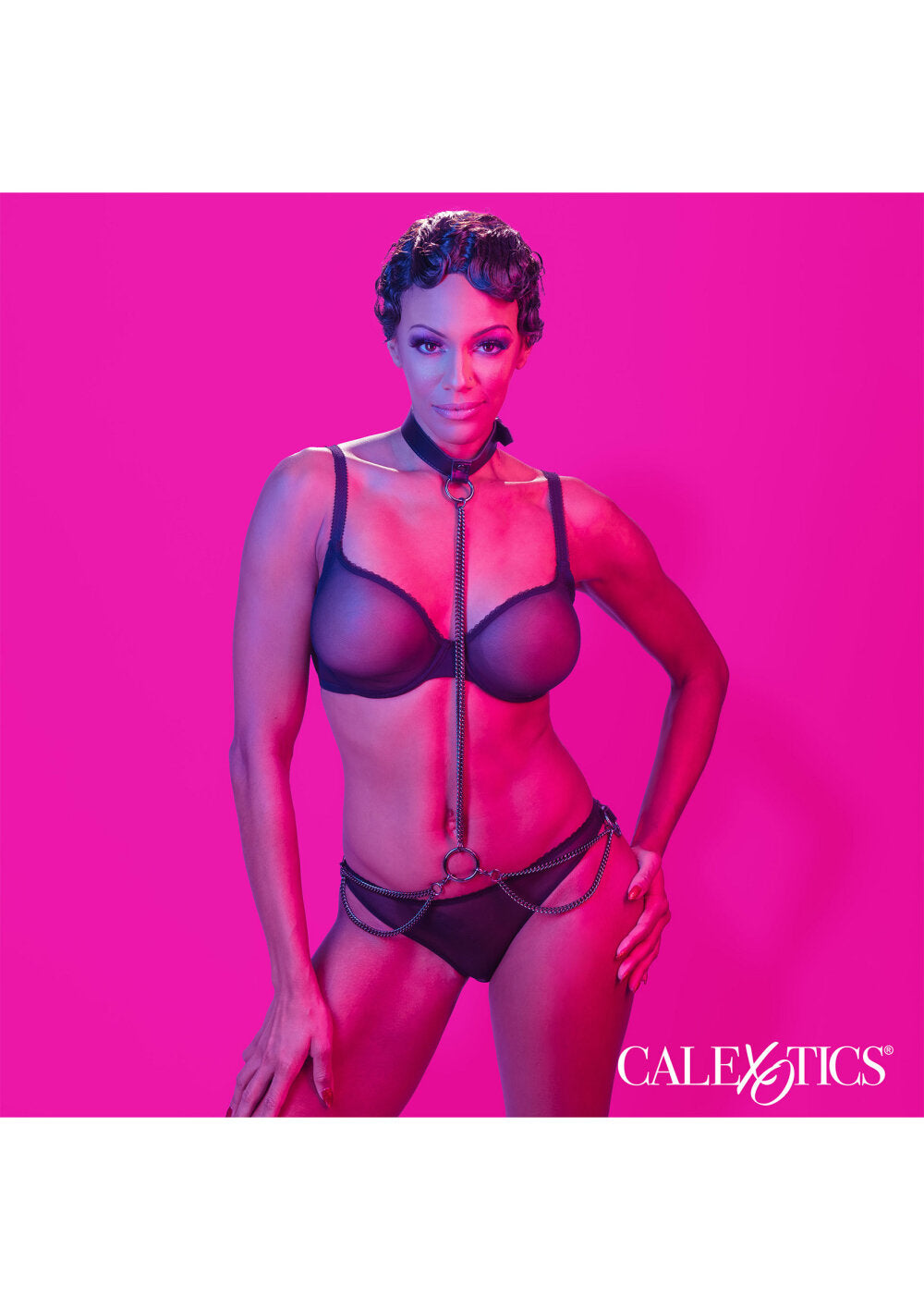 CalExotics Euphoria Collection Chain Halter/Collar &amp; Leash